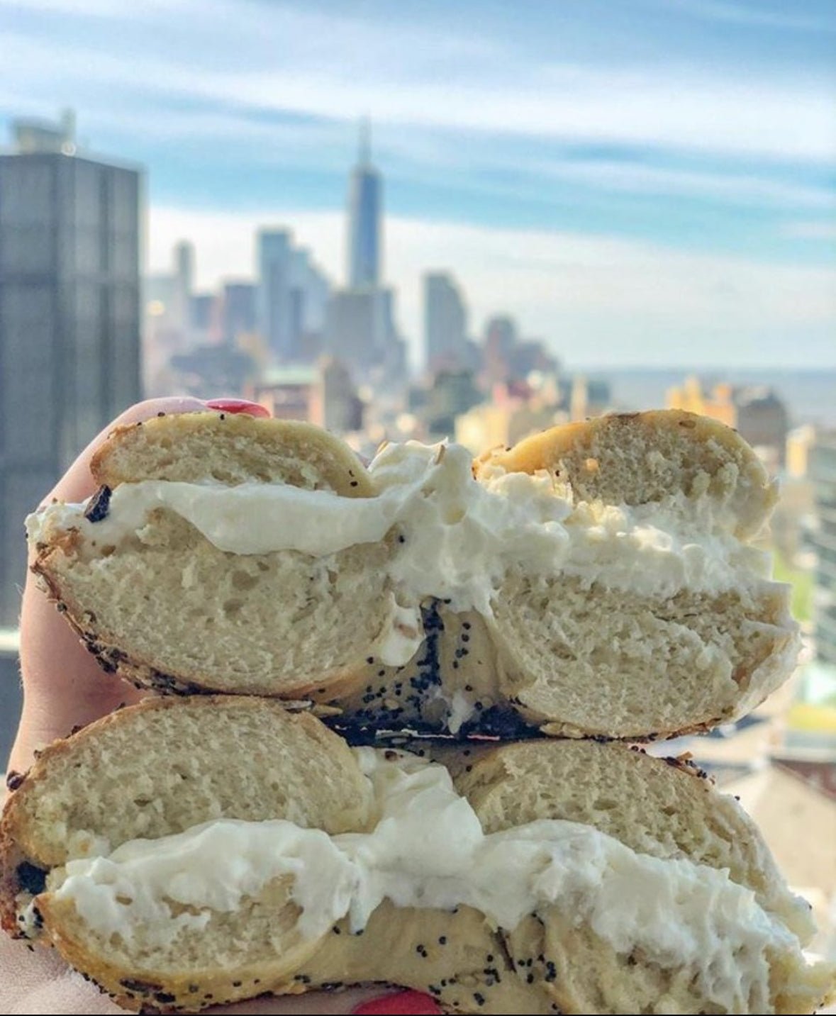 Poppy Bagels 5 Pack - shop_BagelsDavidovich Bakery