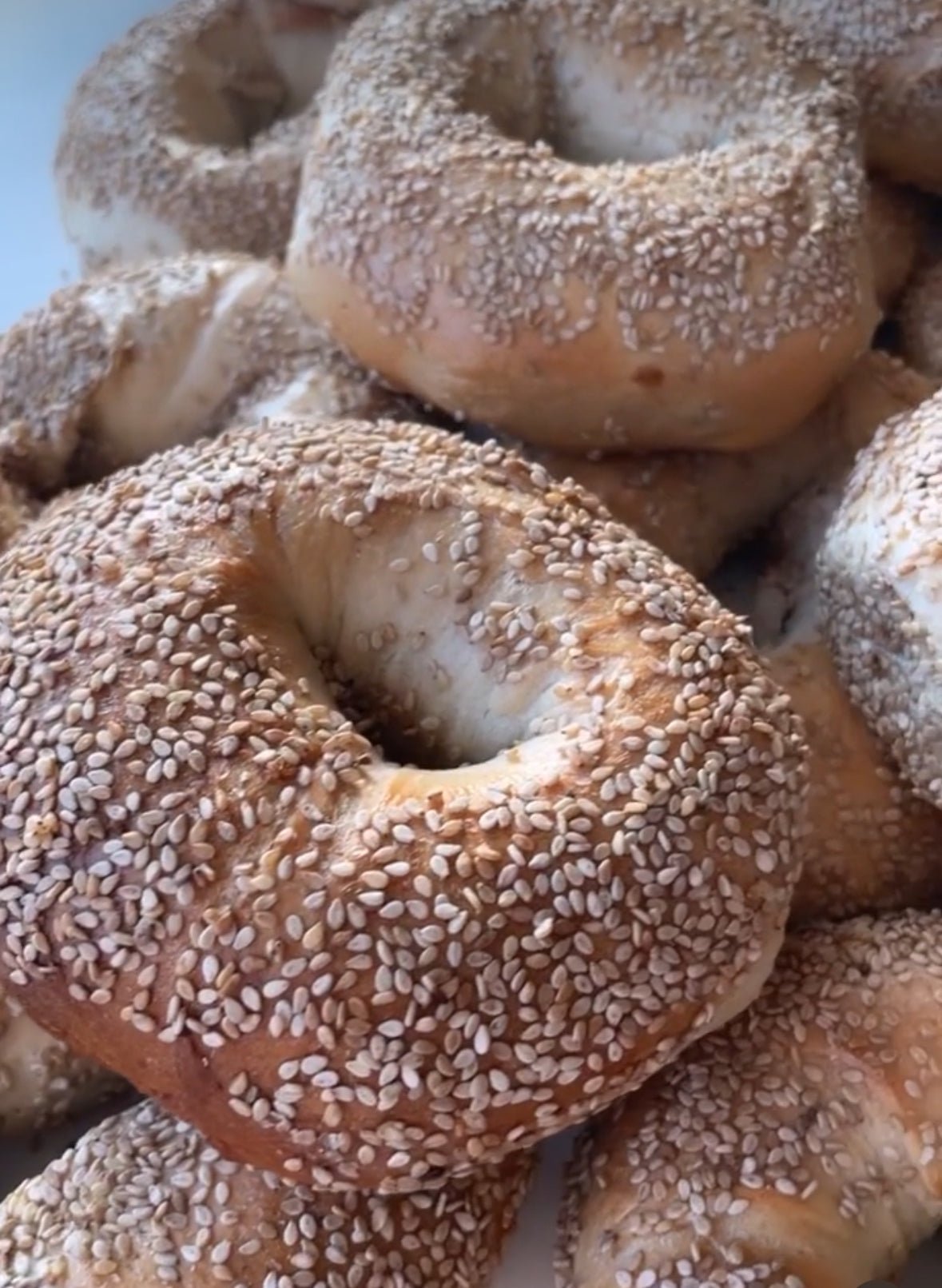 Sesame Frozen Par Baked Bagels Case (5 Dozen) - shop_WholesaleDavidovich Bakery