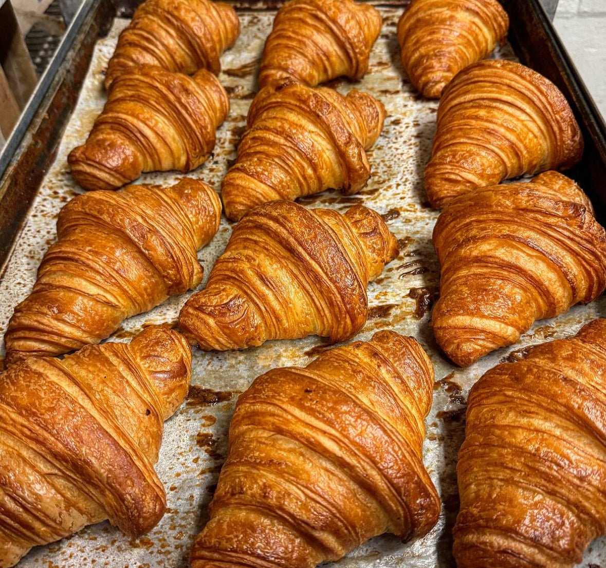 Wholesale Fresh Sample Kit - shop_Davidovich Bakery